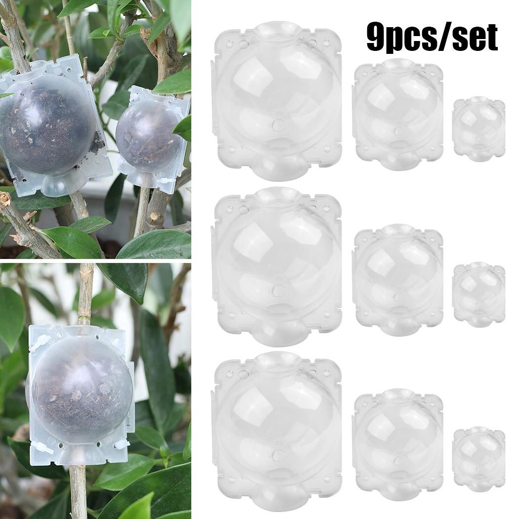 Rooting Boxes Ball Box Clone Grafting High Pressure Small + Medium + Large
Rooting Boxes Ball Box Clone Grafting High Pressure Small + Medium + Large