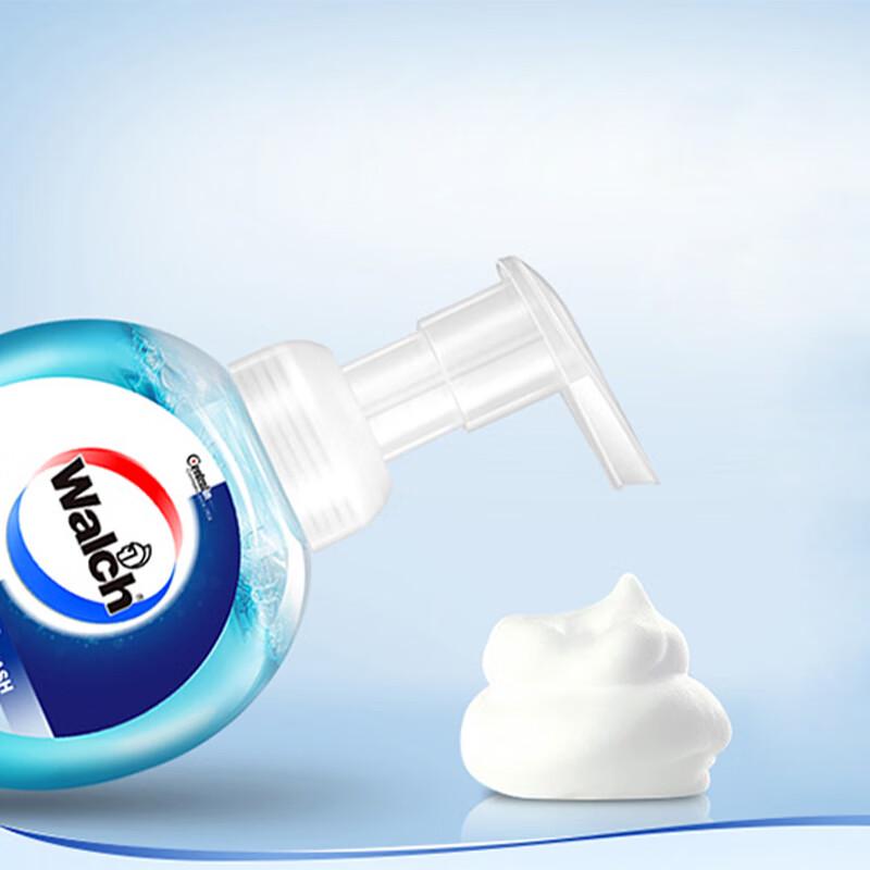 Walch Health Care Foam Hand Soap, 300ml
Walch Health Care Foam Hand Soap, 300ml