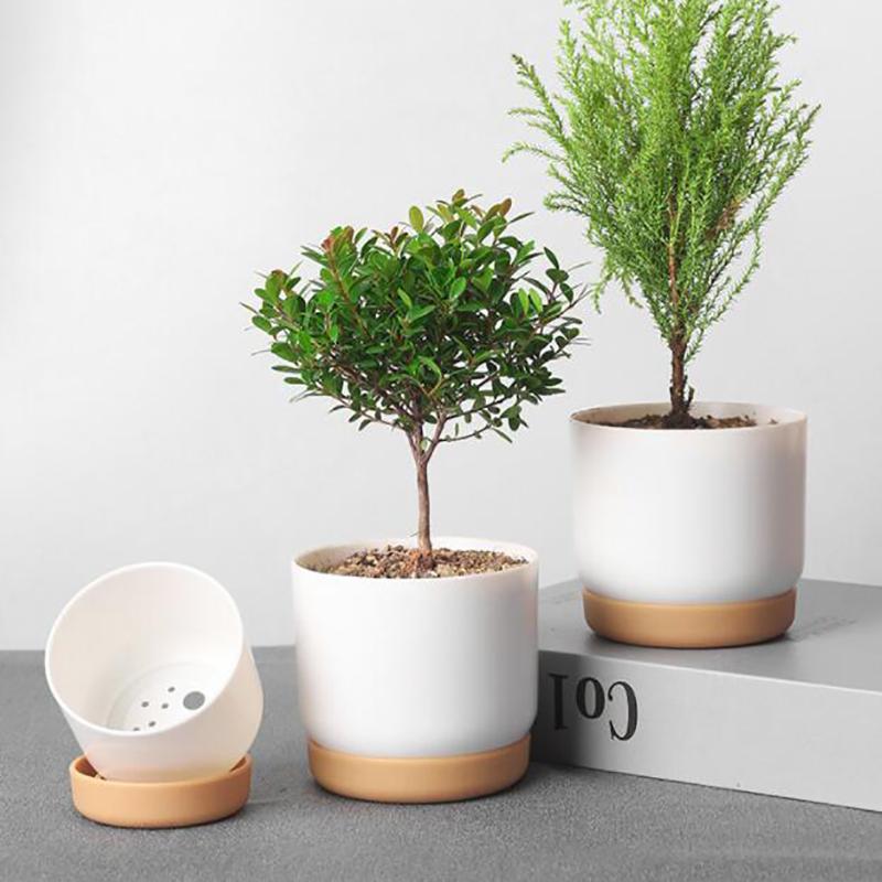 Succulent Plant Pot Double-Layer Succulent Green Dill Small Green Plantflowerpot 70*56*20mm
Succulent Plant Pot Double-Layer Succulent Green Dill Small Green Plantflowerpot 70*56*20mm