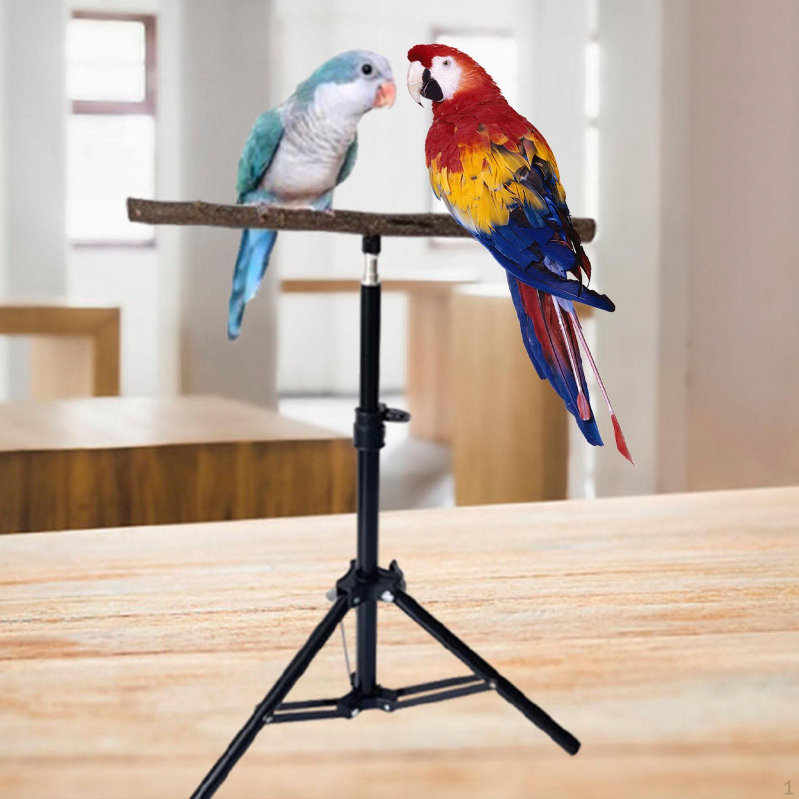 Wooden Parrot Perch Height Adjustable Tripod Interactive Toy Floor Stand Pet Accessories for
Wooden Parrot Perch Height Adjustable Tripod Interactive Toy Floor Stand Pet Accessories for