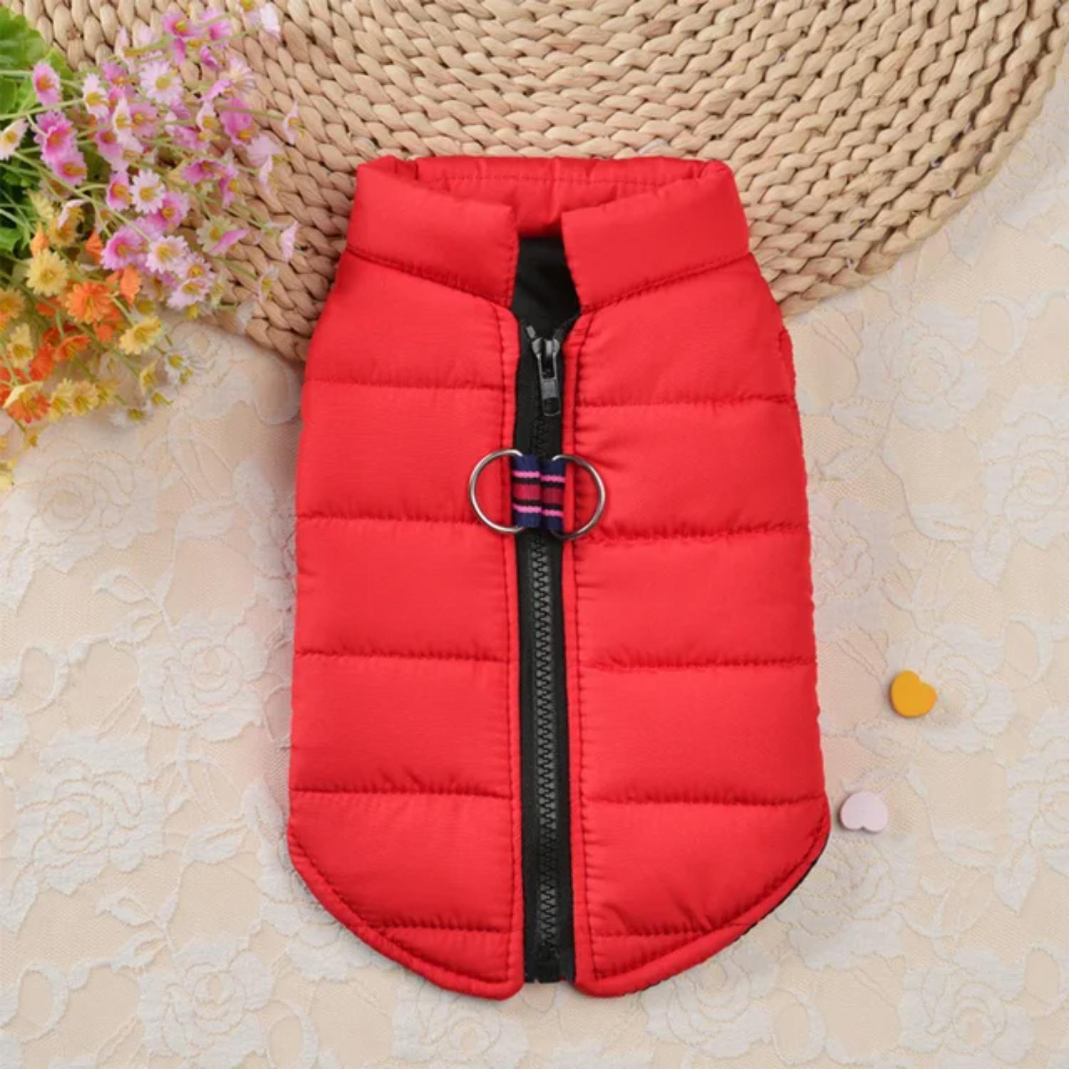 Новая теплая и уютная хлопковая жилетка для собак, одежда для чихуахуа, мопсов - куртка осень-зима, пальто, наряд для маленьких и средних собак M красный
Новая теплая и уютная хлопковая жилетка для собак, одежда для чихуахуа, мопсов - куртка осень-зима, пальто, наряд для маленьких и средних собак M красный