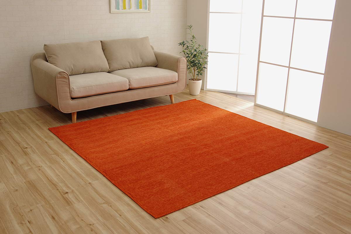 Ikehiko Rug Carpet Washable Water Repellent Plain Simple Moderno Orange 185 x 185 cm Non-slip Approx. #4599629
Ikehiko Rug Carpet Washable Water Repellent Plain Simple Moderno Orange 185 x 185 cm Non-slip Approx. #4599629