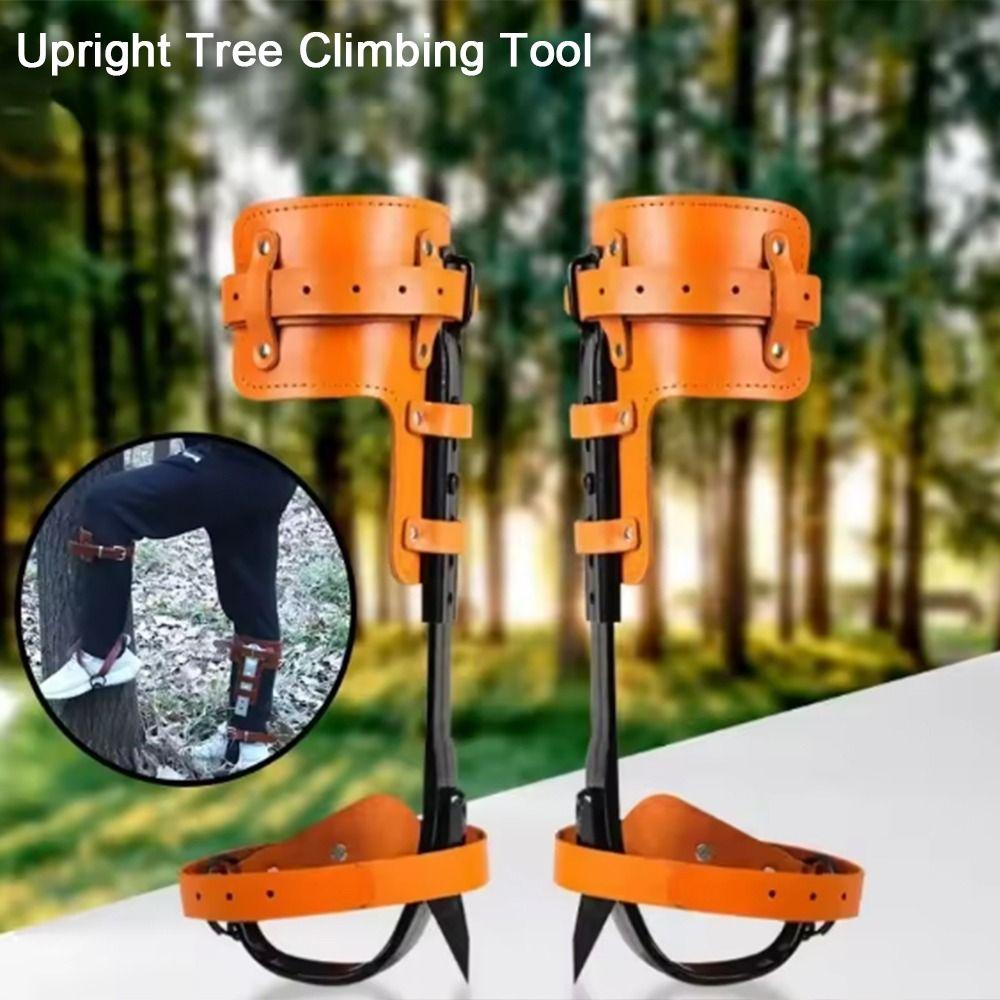 Height Adjustable Upright Tree Climbing Tool Tree Picking Protective Gears Tree Work Tree climbing tools
Height Adjustable Upright Tree Climbing Tool Tree Picking Protective Gears Tree Work Tree climbing tools