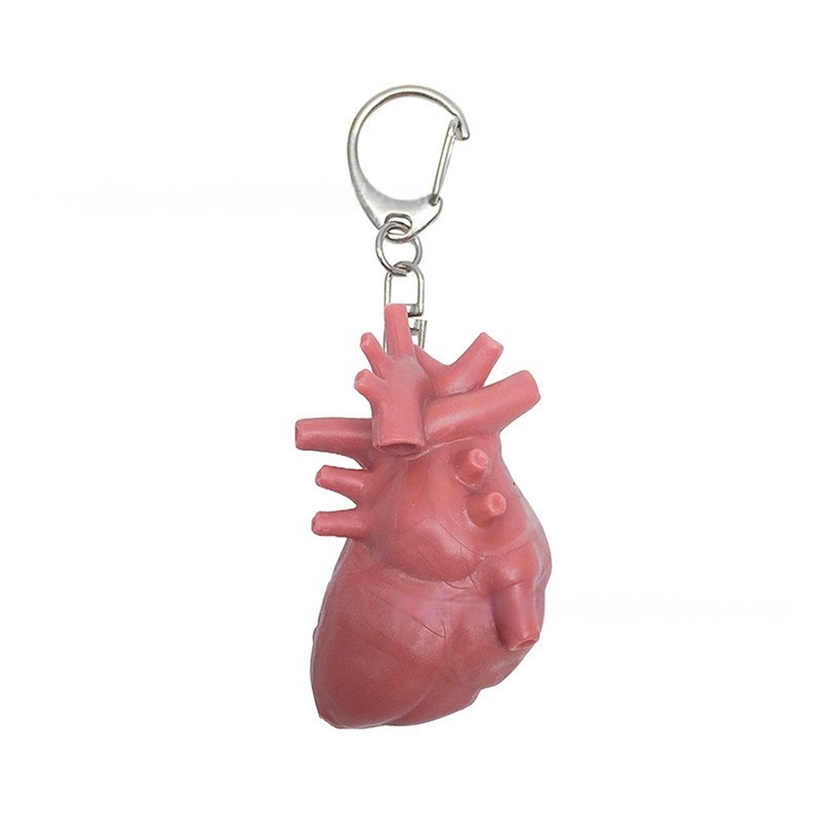 Unique Organ Shaped Keychain Symbolizing Emotional Release Crafted From Sturdy Mixed Materials With Intricate Detailing 1
Unique Organ Shaped Keychain Symbolizing Emotional Release Crafted From Sturdy Mixed Materials With Intricate Detailing 1