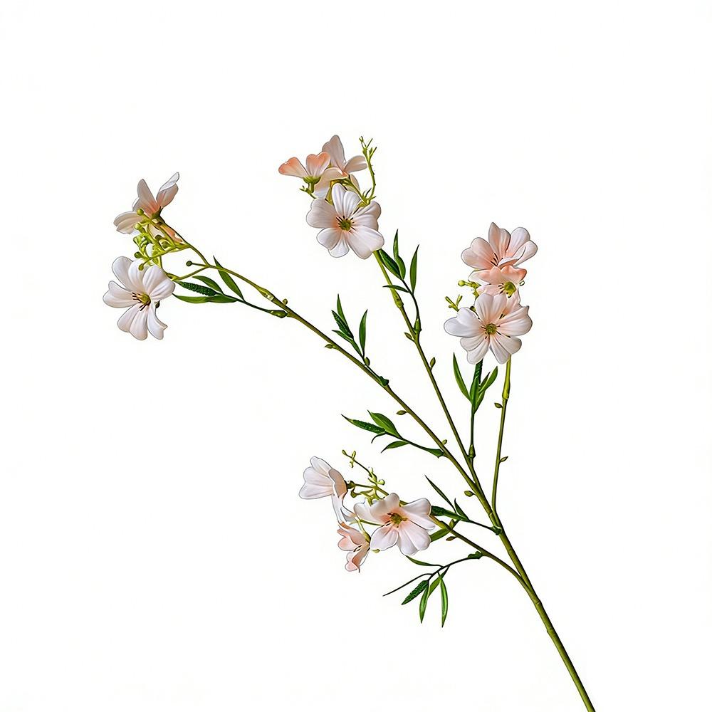 Small Chrysanthemums Silk Flowers 12 Heads Fake Plants Artificial Plants Home Decor Garden Decor
Small Chrysanthemums Silk Flowers 12 Heads Fake Plants Artificial Plants Home Decor Garden Decor