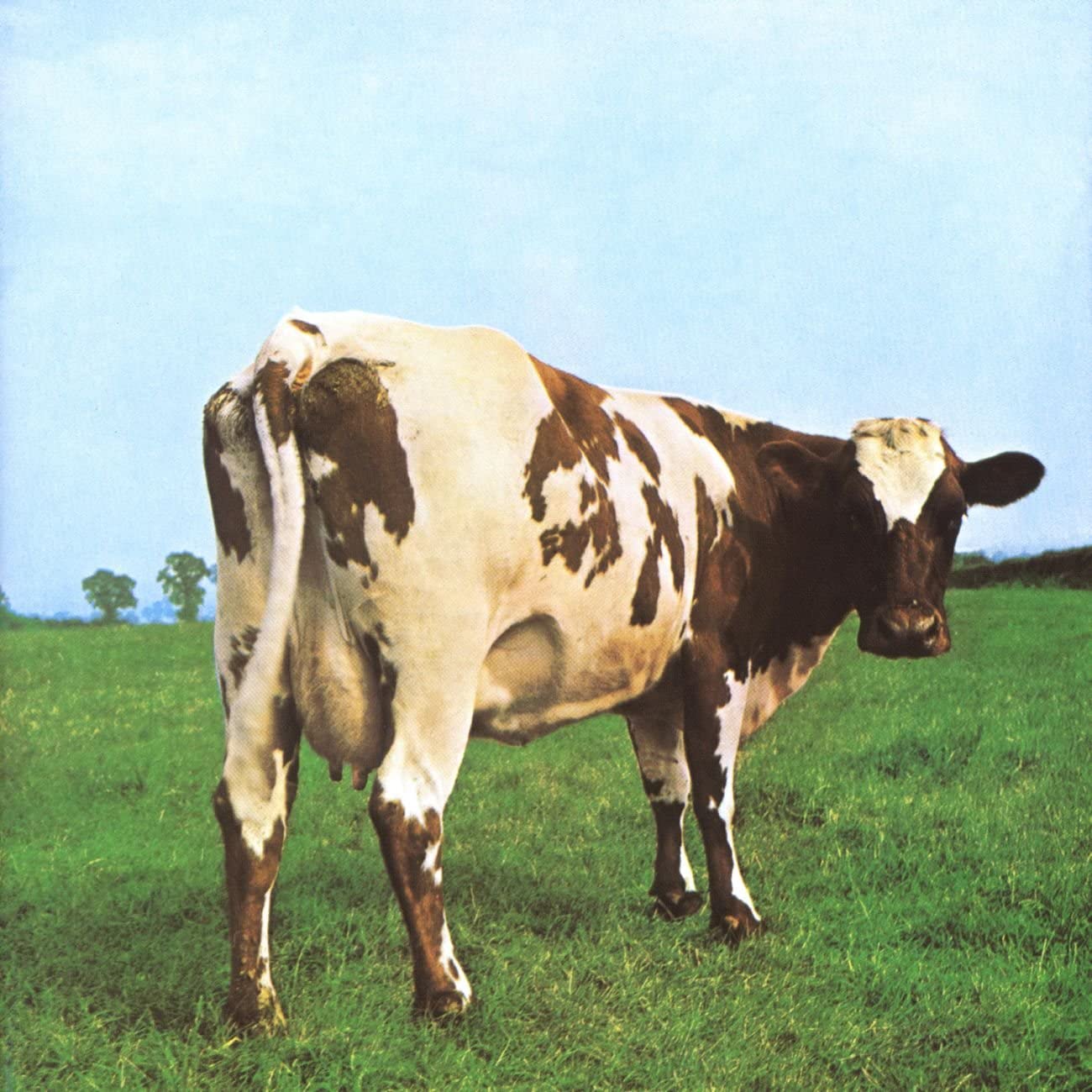 CD PINK FLOYD - Atom Heart Mother 72438312462 EMI Music Franc 2002 UK & Europ Rock Used
CD PINK FLOYD - Atom Heart Mother 72438312462 EMI Music Franc 2002 UK & Europ Rock Used