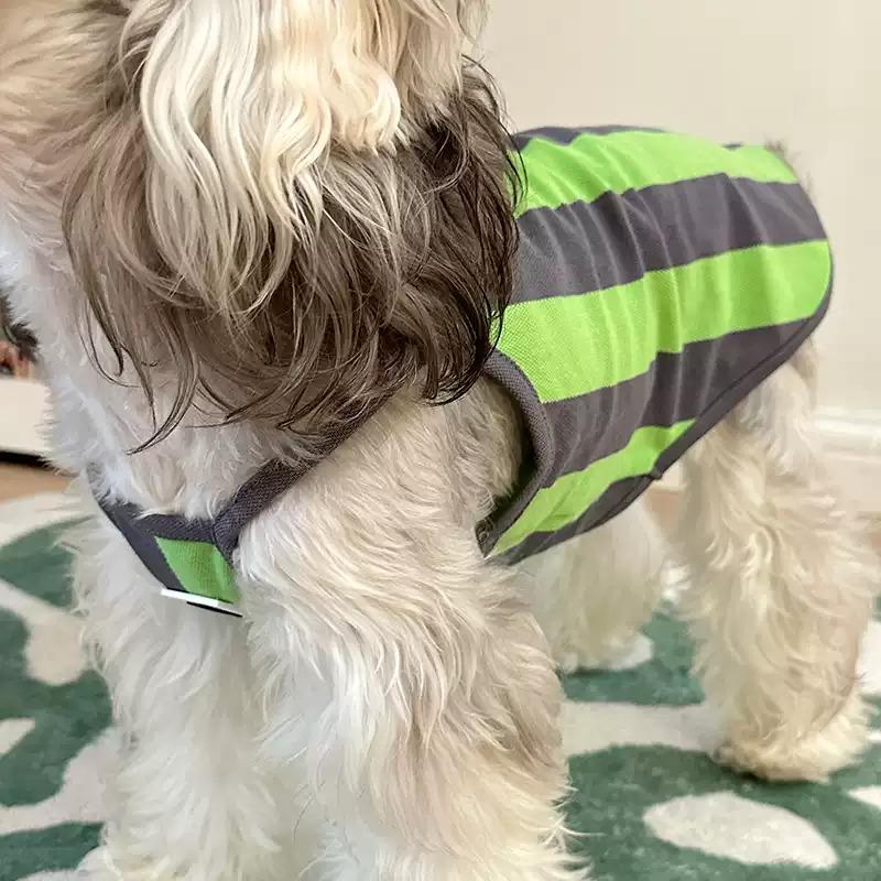 Cat Puppy Small Dog Vest Summer Pet Clothes Apparel Yorkie Shih Tzu Maltese Pomeranian Poodle Bichon Schnauzer Dog Clothing 2025 XXL зелений
Cat Puppy Small Dog Vest Summer Pet Clothes Apparel Yorkie Shih Tzu Maltese Pomeranian Poodle Bichon Schnauzer Dog Clothing 2025 XXL зелений