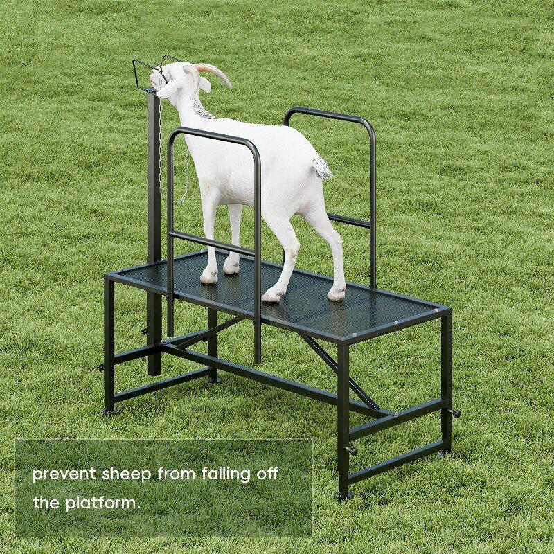 Sheep Milking Rack Adjustable Height Wool Trimming Fixation Metal Racks Sturdy and Durable Goat Trimming Farm Animal Supplies
Sheep Milking Rack Adjustable Height Wool Trimming Fixation Metal Racks Sturdy and Durable Goat Trimming Farm Animal Supplies