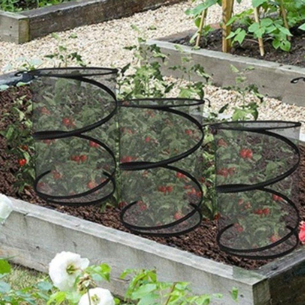 Weatherproof Plant Mesh Cover Sturdy Garden Plant Protector Popup Insect Barrier Greenhouse
Weatherproof Plant Mesh Cover Sturdy Garden Plant Protector Popup Insect Barrier Greenhouse