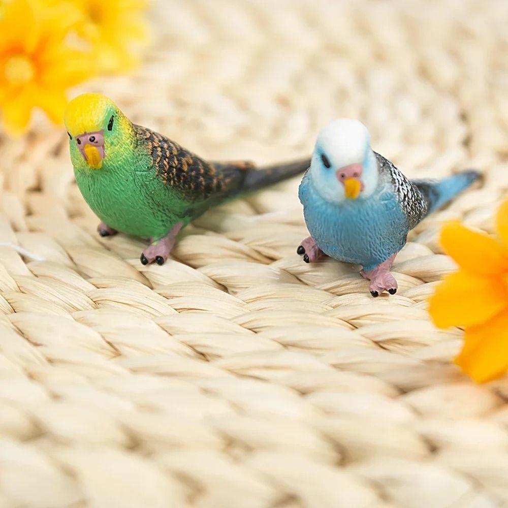 Miniatures Bird Figurines Educational Budgerigar Toy Creative Simulated Budgie Parrot Party синий
Miniatures Bird Figurines Educational Budgerigar Toy Creative Simulated Budgie Parrot Party синий