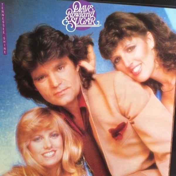LP Record DAVE & SUGAR - New York Wine & Tennessee Shine PL13623 RCA 1980 UK Folk Used
LP Record DAVE & SUGAR - New York Wine & Tennessee Shine PL13623 RCA 1980 UK Folk Used