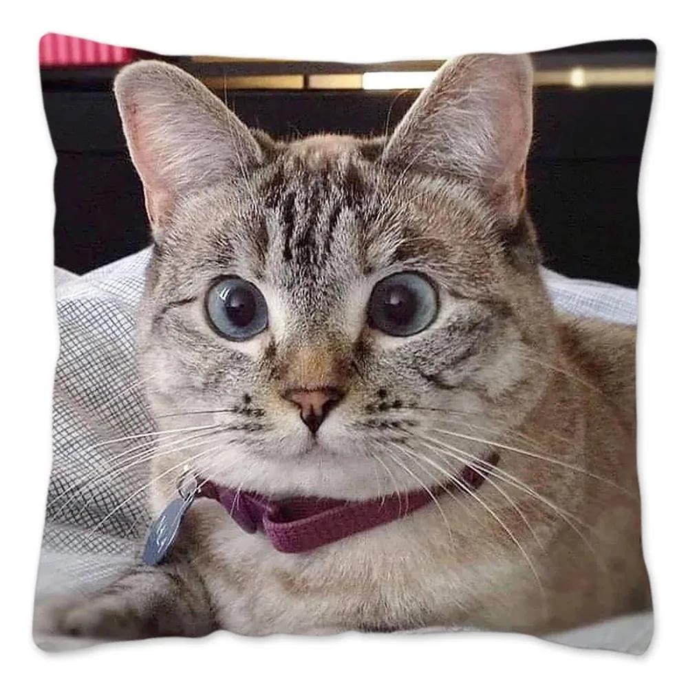 Чехол для подушки для дивана в автомобильном стиле с изображением рождественского кота, роскошное украшение для дома, чехол для подушки 12x12Inch
Чехол для подушки для дивана в автомобильном стиле с изображением рождественского кота, роскошное украшение для дома, чехол для подушки 12x12Inch