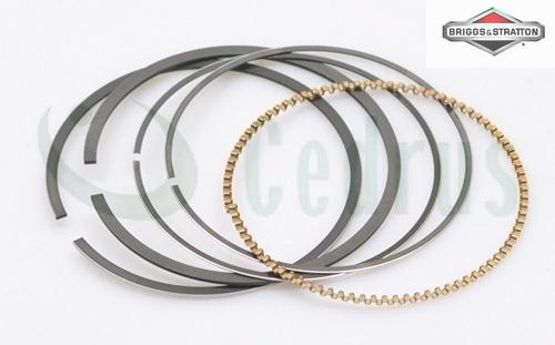 Pierścienie Tłoka B&S Quantum Część Oryginalna 795431
Pierścienie Tłoka B&S Quantum Część Oryginalna 795431