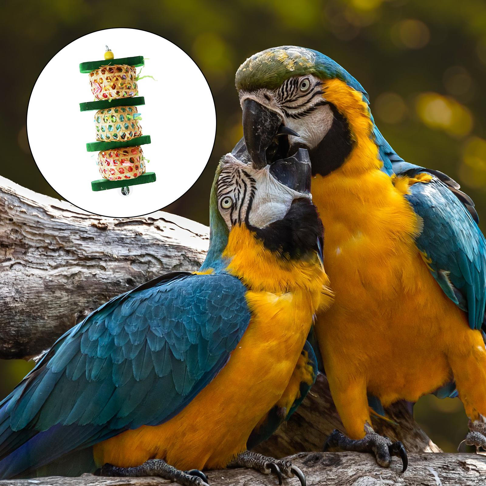 Bird Chewing Toys Cage Accessories Parrot Bite for Cockatiels Large Medium
Bird Chewing Toys Cage Accessories Parrot Bite for Cockatiels Large Medium