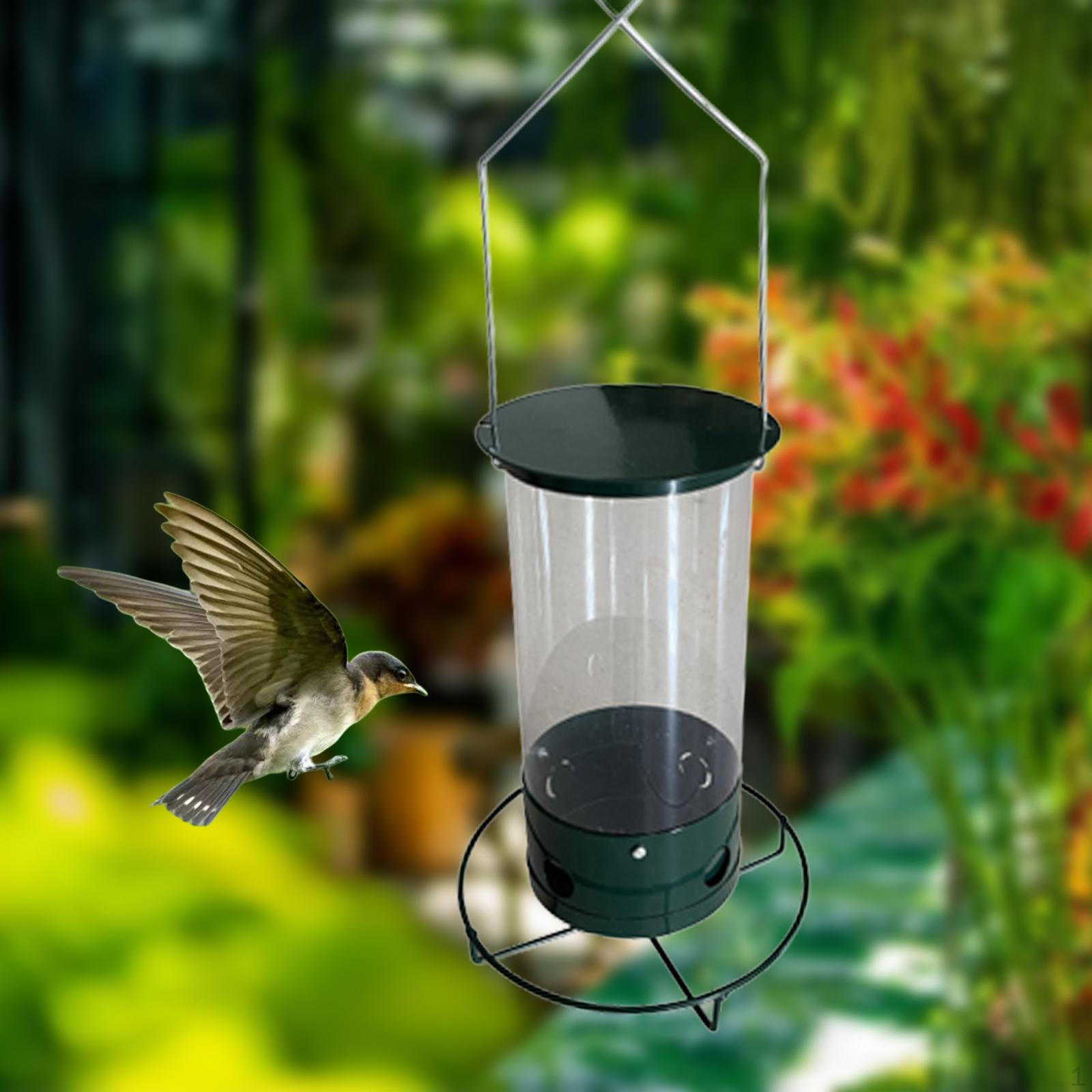 Adjustable Perch Bird Feeder for Garden Delight small
Adjustable Perch Bird Feeder for Garden Delight small