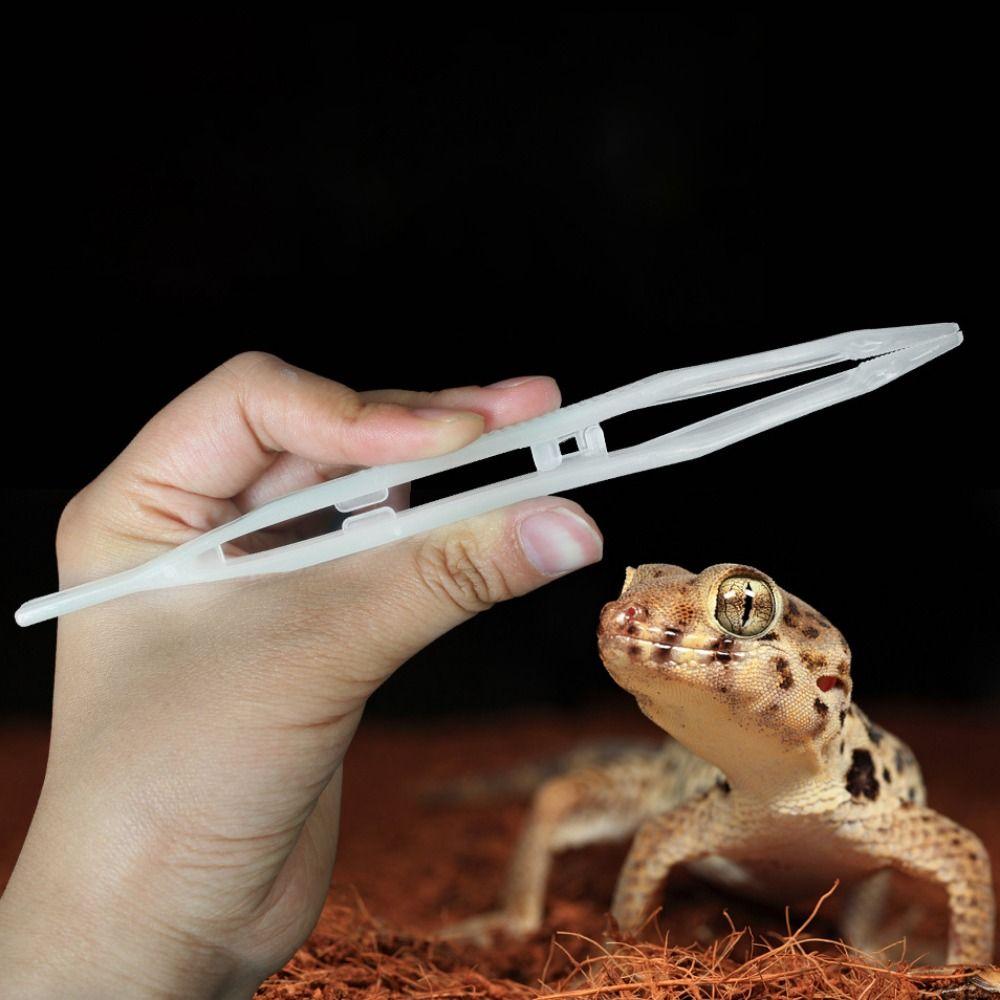 Anti-static Straight Tweezer Reptile Feeding Tweezer Tortoise Feeding Tongs Animal Feeder Clamp белый
Anti-static Straight Tweezer Reptile Feeding Tweezer Tortoise Feeding Tongs Animal Feeder Clamp белый