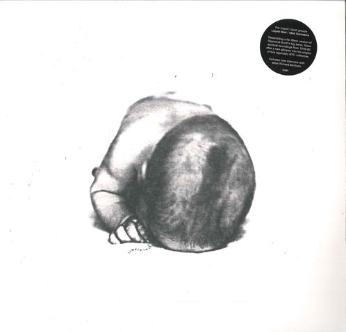 LP Record LIQUID IDIOT / THE IDIOT ORCHESTRA - Liquid Idiot / Idiot Orchestra SV091 Superior Viaduc 2015 US Rock
LP Record LIQUID IDIOT / THE IDIOT ORCHESTRA - Liquid Idiot / Idiot Orchestra SV091 Superior Viaduc 2015 US Rock