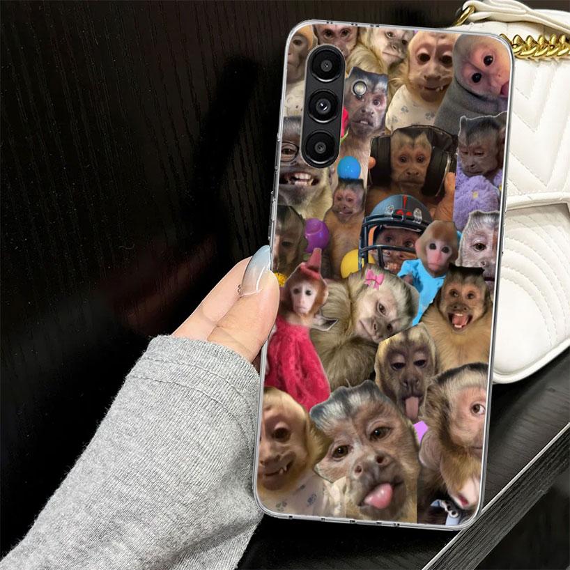 Monkey Memes Case for Samsung A17 A16 A56 A36 A26 A15 A55 A35 A25 A14 A54 A34 A24 Phone Cover A13 A53 A33 A23 A05S A04S Samsung A04S
Monkey Memes Case for Samsung A17 A16 A56 A36 A26 A15 A55 A35 A25 A14 A54 A34 A24 Phone Cover A13 A53 A33 A23 A05S A04S Samsung A04S