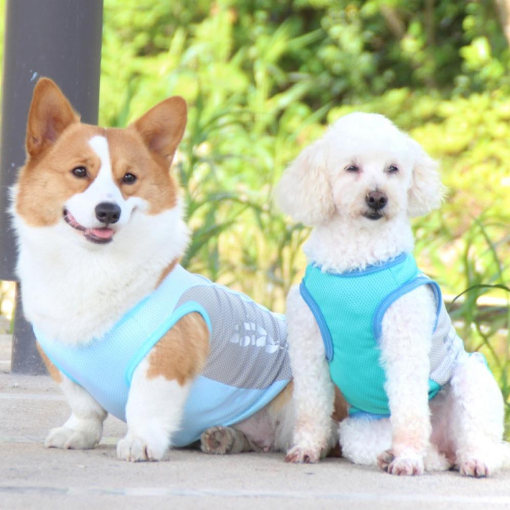 Breathable Pet Cooling Vest Quick Dry Dog Cooler Coat Fashion Dog Jacket For Pet Hiking
Breathable Pet Cooling Vest Quick Dry Dog Cooler Coat Fashion Dog Jacket For Pet Hiking