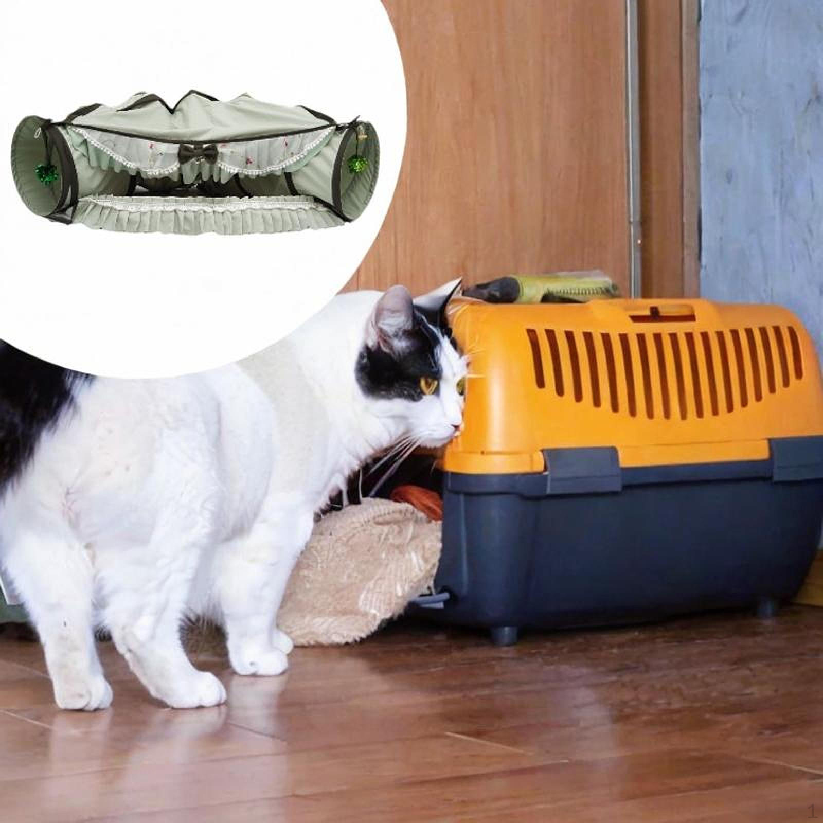 2 in 1 Cat Tunnel Bed Activity Center Kitten Training with Removable Mat Hideout for Ferrets зелёный
2 in 1 Cat Tunnel Bed Activity Center Kitten Training with Removable Mat Hideout for Ferrets зелёный