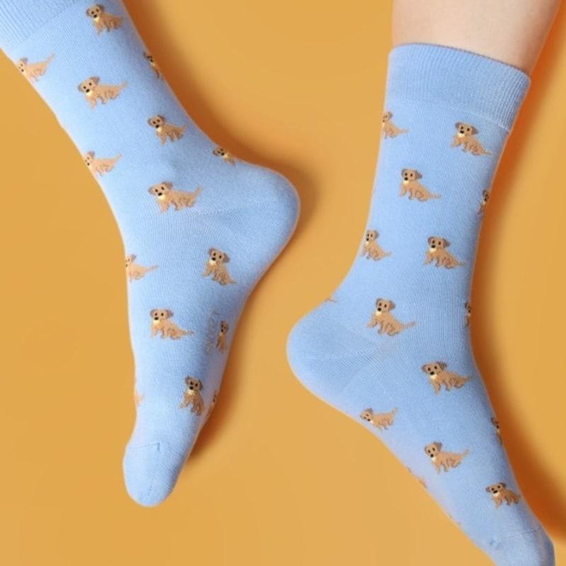 SNOOZY PI-Sky Blue (Retriever) FREE
SNOOZY PI-Sky Blue (Retriever) FREE