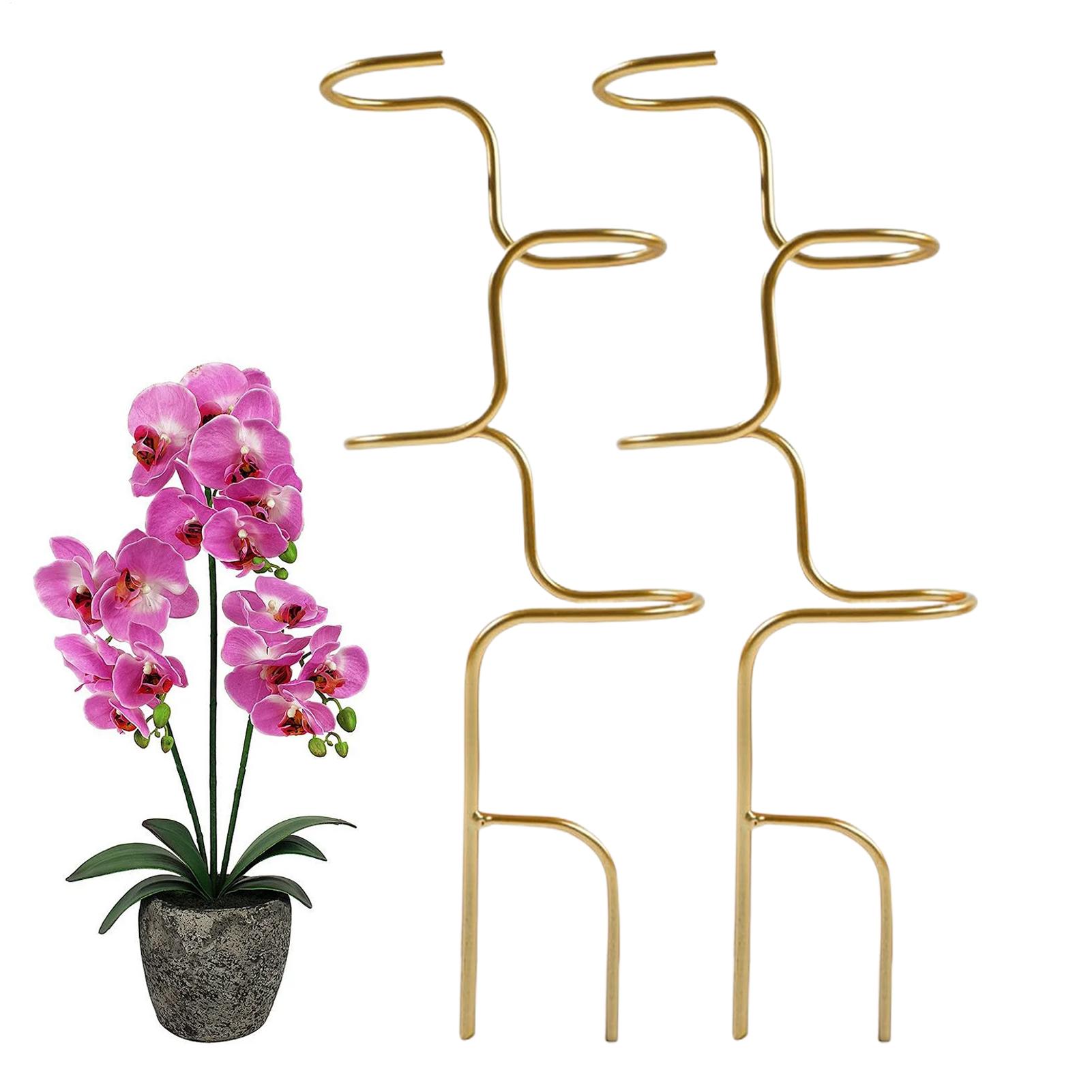 2pcs Vine Plant Climbing Frame Iron Art Flower Frame Outdoor Monstera Deliciosa Plant Support Bracket Plant Support Stakes China Mainland
2pcs Vine Plant Climbing Frame Iron Art Flower Frame Outdoor Monstera Deliciosa Plant Support Bracket Plant Support Stakes China Mainland