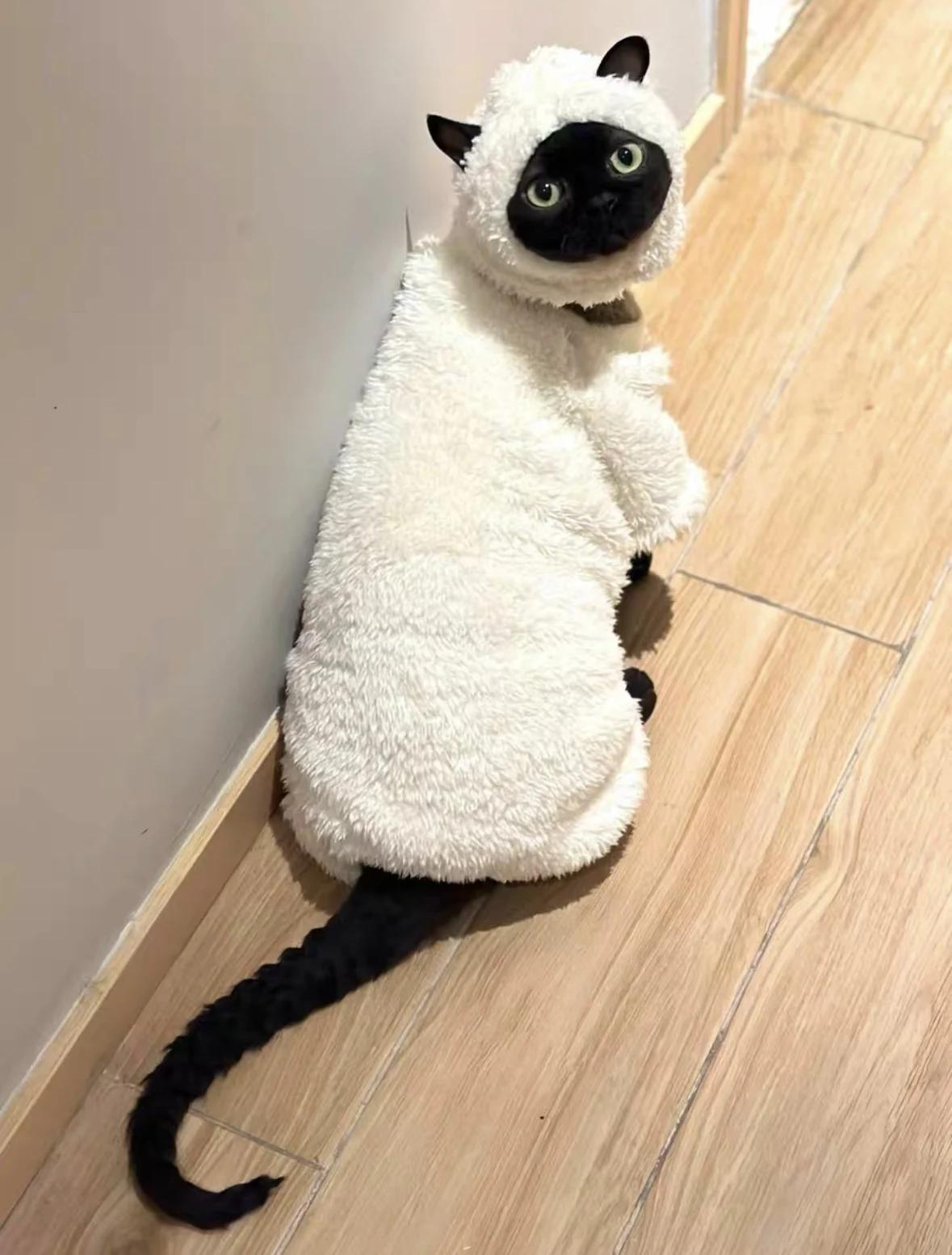 Sheep Cosplay Cat Clothing Fantasia Divertidly Cat Outfit Hoodies Pet Costume Chat Fancy Dress Sweater Pets Disguise Accessories for 1kg белый
Sheep Cosplay Cat Clothing Fantasia Divertidly Cat Outfit Hoodies Pet Costume Chat Fancy Dress Sweater Pets Disguise Accessories for 1kg белый