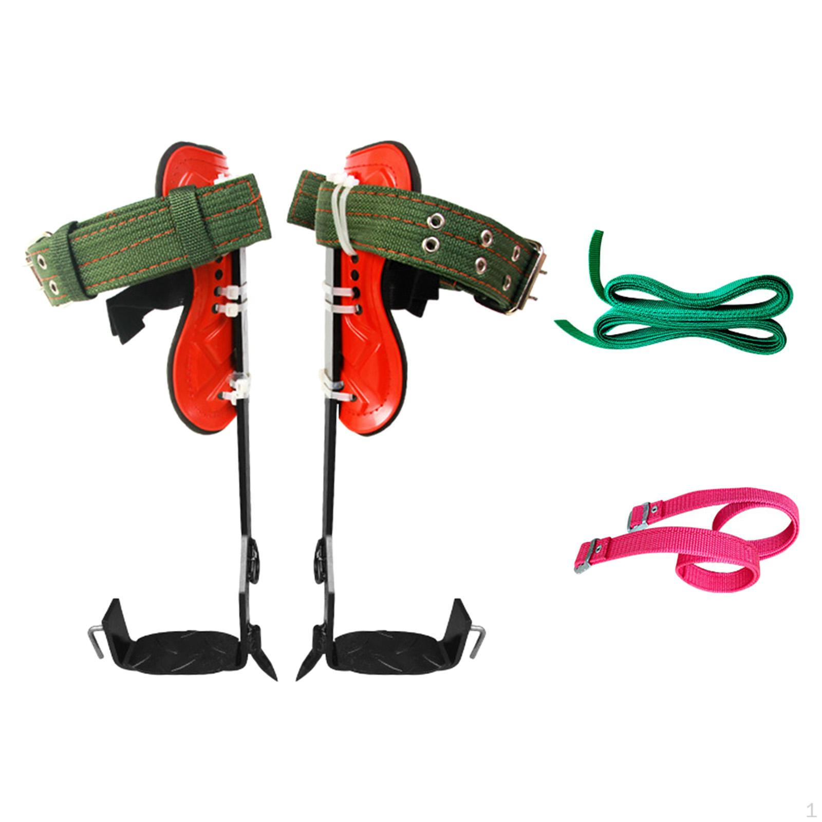 Карбоновые альпинисты с ремнем для наблюдения за сбором фруктов и охоты
Карбоновые альпинисты с ремнем для наблюдения за сбором фруктов и охоты