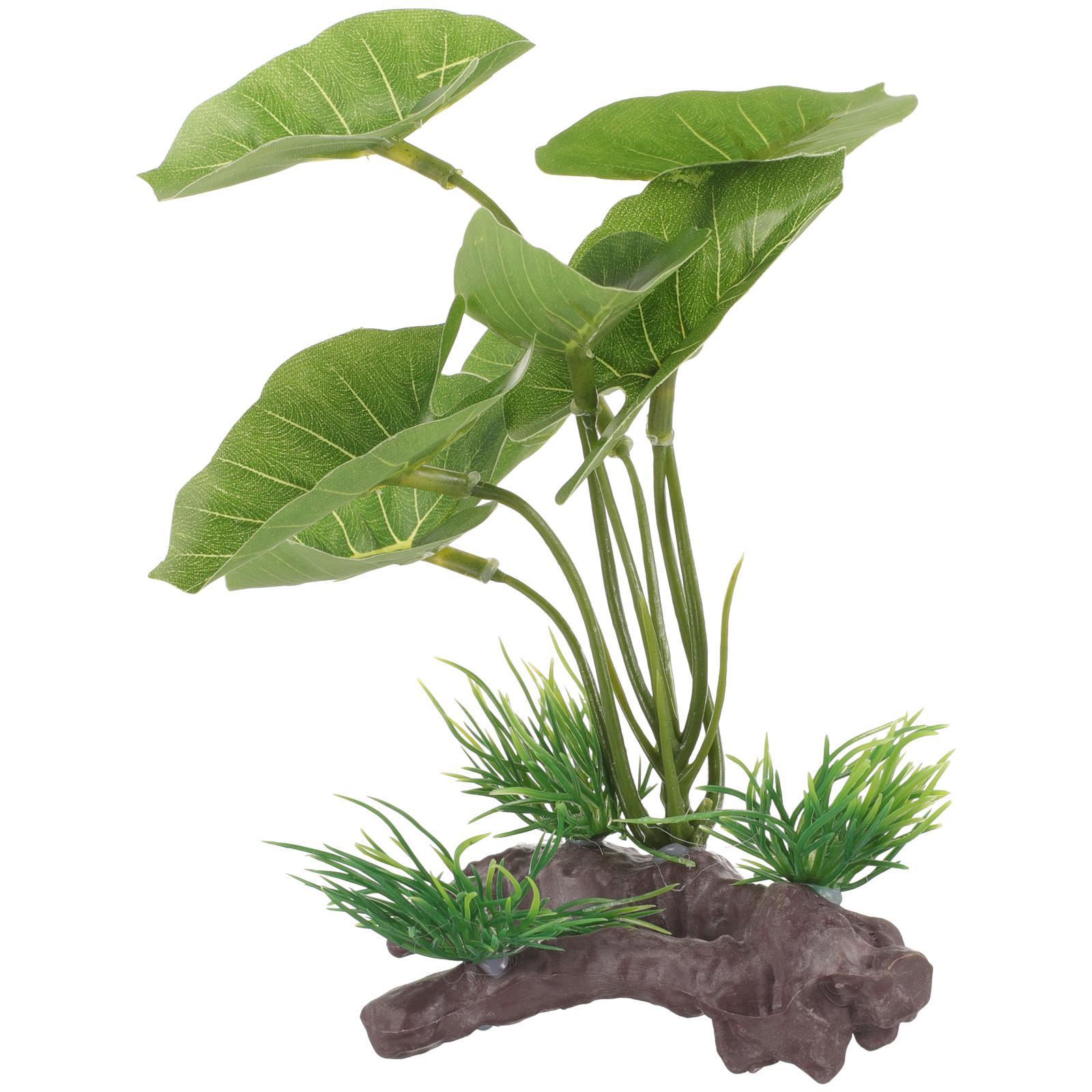 Artificial Water Plants Fish Aquarium Decoration Tall Tank Plastic for Betta Small Freshwater Large Decorations Terrarium 15.00X10.00X7.00CM зелений
Artificial Water Plants Fish Aquarium Decoration Tall Tank Plastic for Betta Small Freshwater Large Decorations Terrarium 15.00X10.00X7.00CM зелений