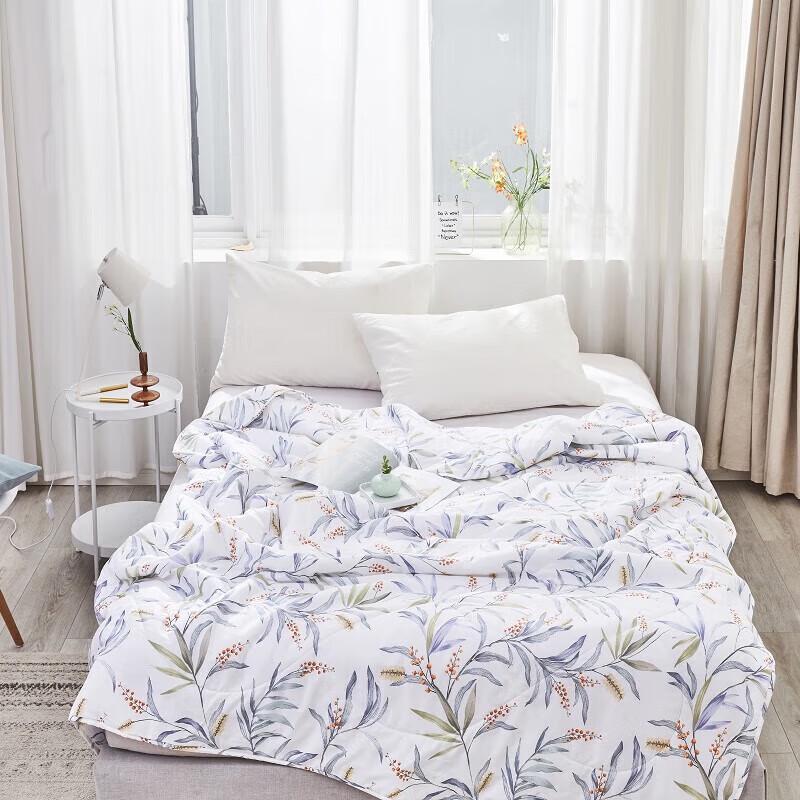 Mengjie Breeze Summer Double Quilt
Mengjie Breeze Summer Double Quilt