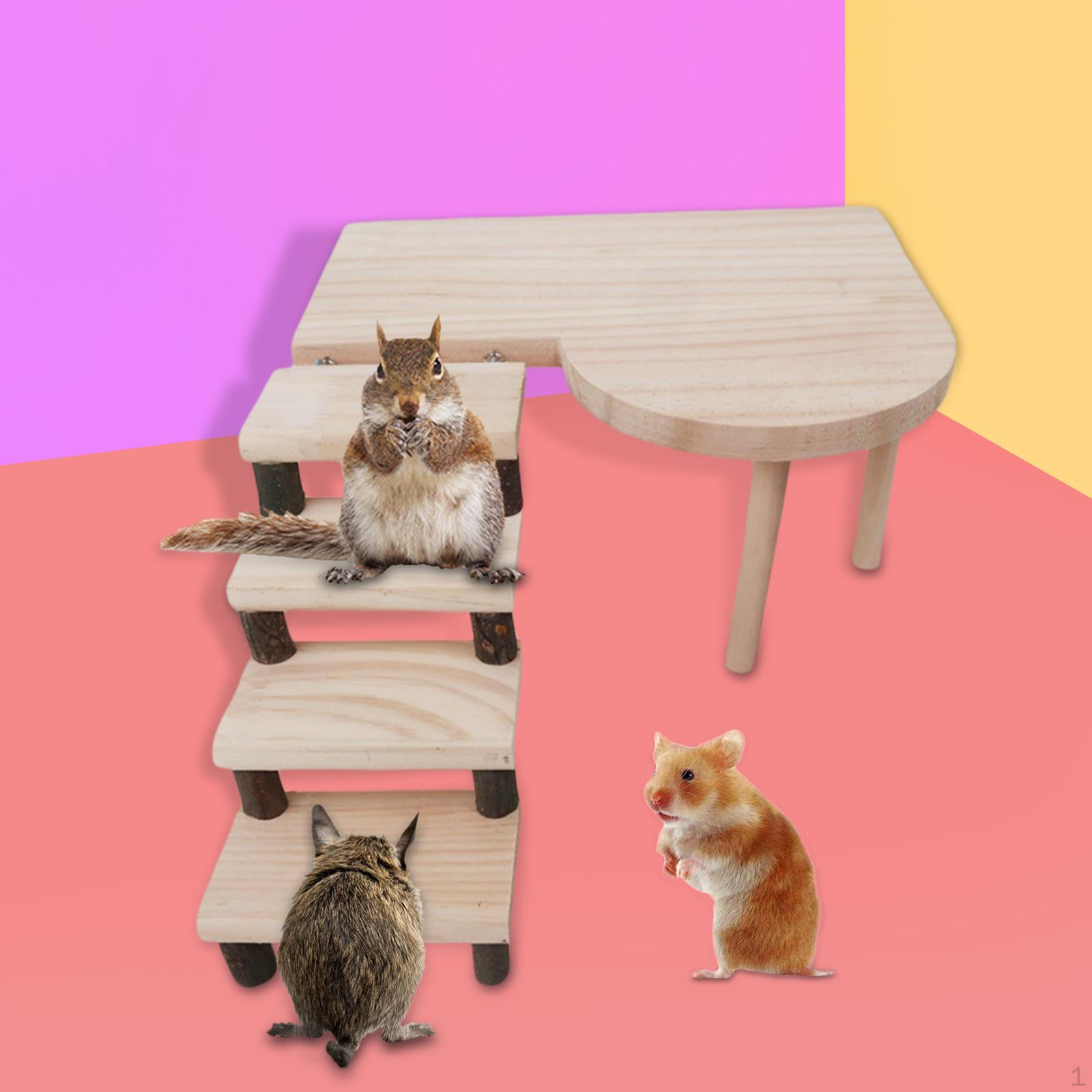 Two Layers Hamster Ladder Set Cage Accessories Toys for Small Animal
Two Layers Hamster Ladder Set Cage Accessories Toys for Small Animal