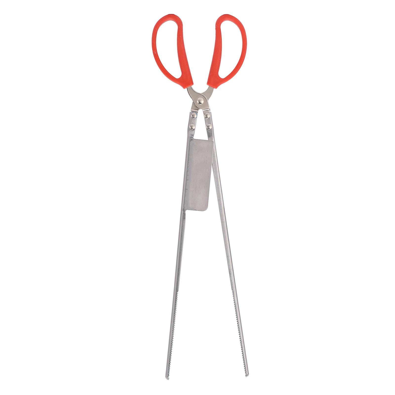 Crab Tongs Stainless Steel Plastic Handles 51cm Length Slot Tip Design Thicken Heat Resistant
Crab Tongs Stainless Steel Plastic Handles 51cm Length Slot Tip Design Thicken Heat Resistant