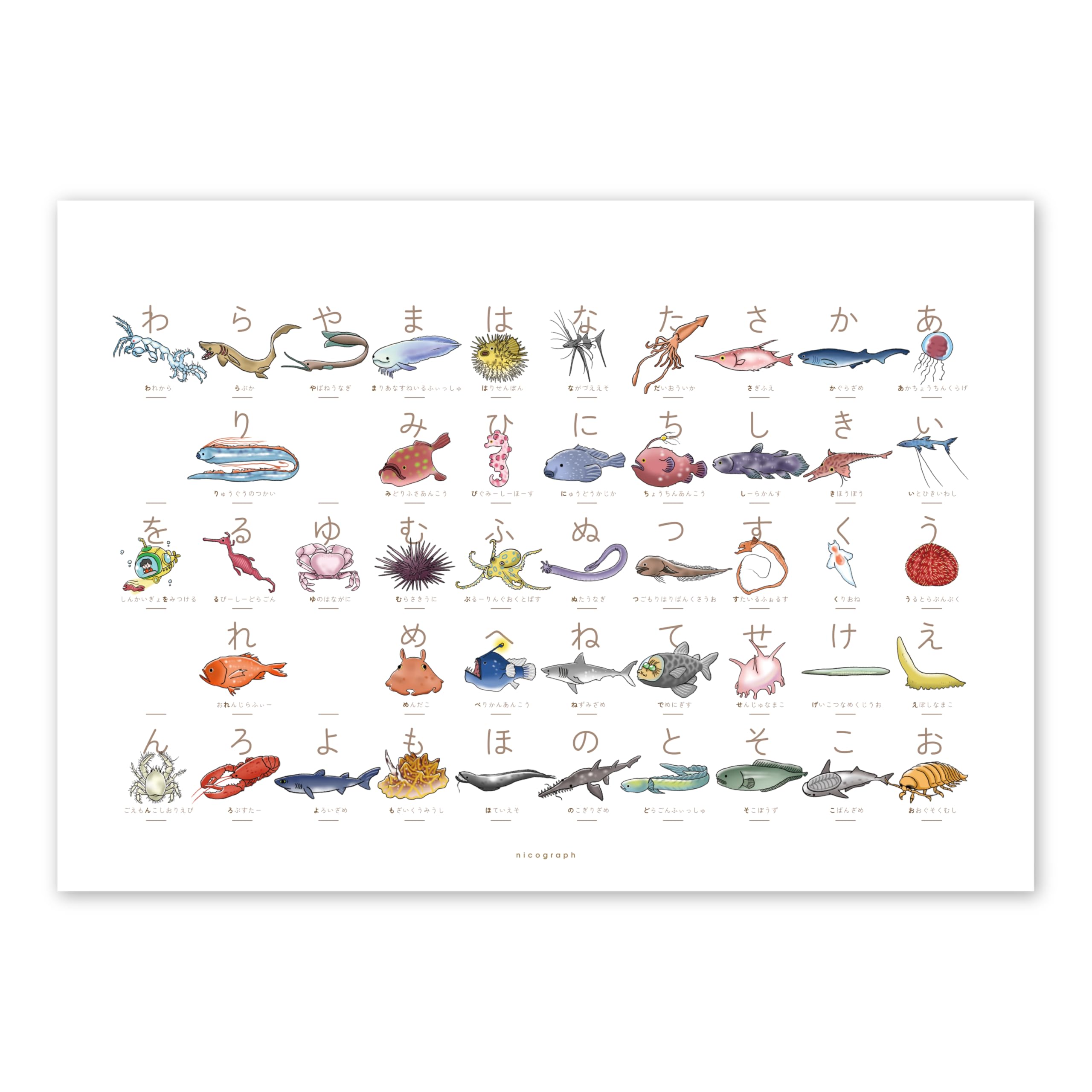 Deep sea fish Aiueo Deep sea fish hiragana chart 50 syllabary chart White A3 size No magnetic hanger Special Aiueo Illustrated book Clione Oarfish
Deep sea fish Aiueo Deep sea fish hiragana chart 50 syllabary chart White A3 size No magnetic hanger Special Aiueo Illustrated book Clione Oarfish