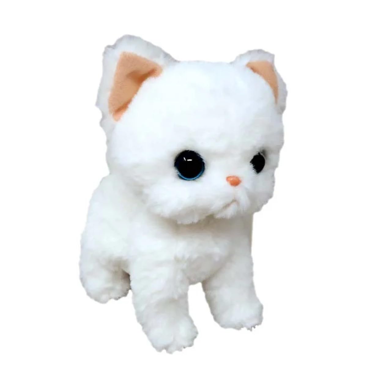 Naito Design Institute Together is good New Plush Toy Shiro Cat Height approx. 18cm
Naito Design Institute Together is good New Plush Toy Shiro Cat Height approx. 18cm