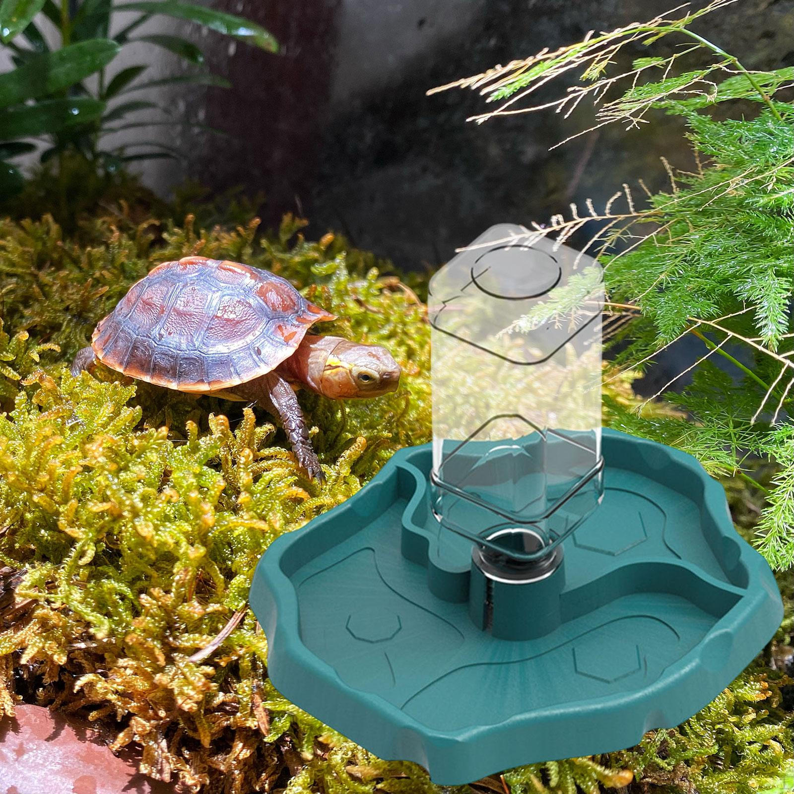 Автоматическая поилка для рептилий с кормушкой для черепах синий
Автоматическая поилка для рептилий с кормушкой для черепах синий
