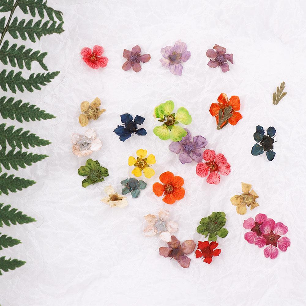 Small Narcissus Manicure Accessories 3D Nail Art Decorations Nail Art Dried Flower DIY Nail Decals
Small Narcissus Manicure Accessories 3D Nail Art Decorations Nail Art Dried Flower DIY Nail Decals