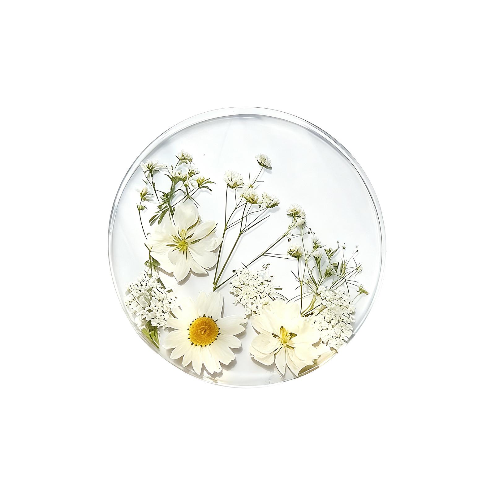 Round Floral Coaster Decorative Accent Transparent Acrylic Resin Embedded Real Flowers for Home Table Protection and Display One Size
Round Floral Coaster Decorative Accent Transparent Acrylic Resin Embedded Real Flowers for Home Table Protection and Display One Size