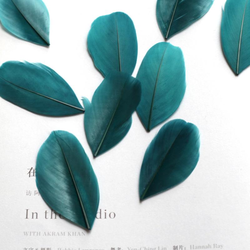 Гусиная шерсть, цветные перья, декоративные ювелирные изделия своими руками, серьги, серьги Dream Network, материал ручной работы, аксессуары, аксессуары 10pcs
Гусиная шерсть, цветные перья, декоративные ювелирные изделия своими руками, серьги, серьги Dream Network, материал ручной работы, аксессуары, аксессуары 10pcs