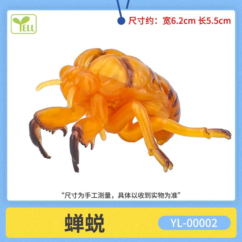 Yell Japanese Giant Hornet Simulation Animal Model Cicada Shell Mini Figurine Desktop Decor Collectible For Adult Hobbyists
Yell Japanese Giant Hornet Simulation Animal Model Cicada Shell Mini Figurine Desktop Decor Collectible For Adult Hobbyists