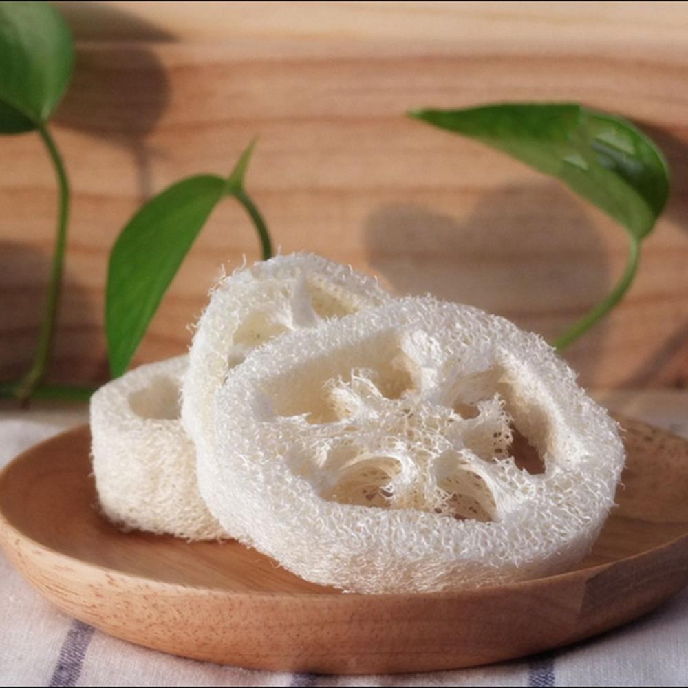 Non Scratch Easy To Clean Washing Cloth Natural Scrubber Soap Saver Scouring Pad Scrub Sponge 10pcs
Non Scratch Easy To Clean Washing Cloth Natural Scrubber Soap Saver Scouring Pad Scrub Sponge 10pcs