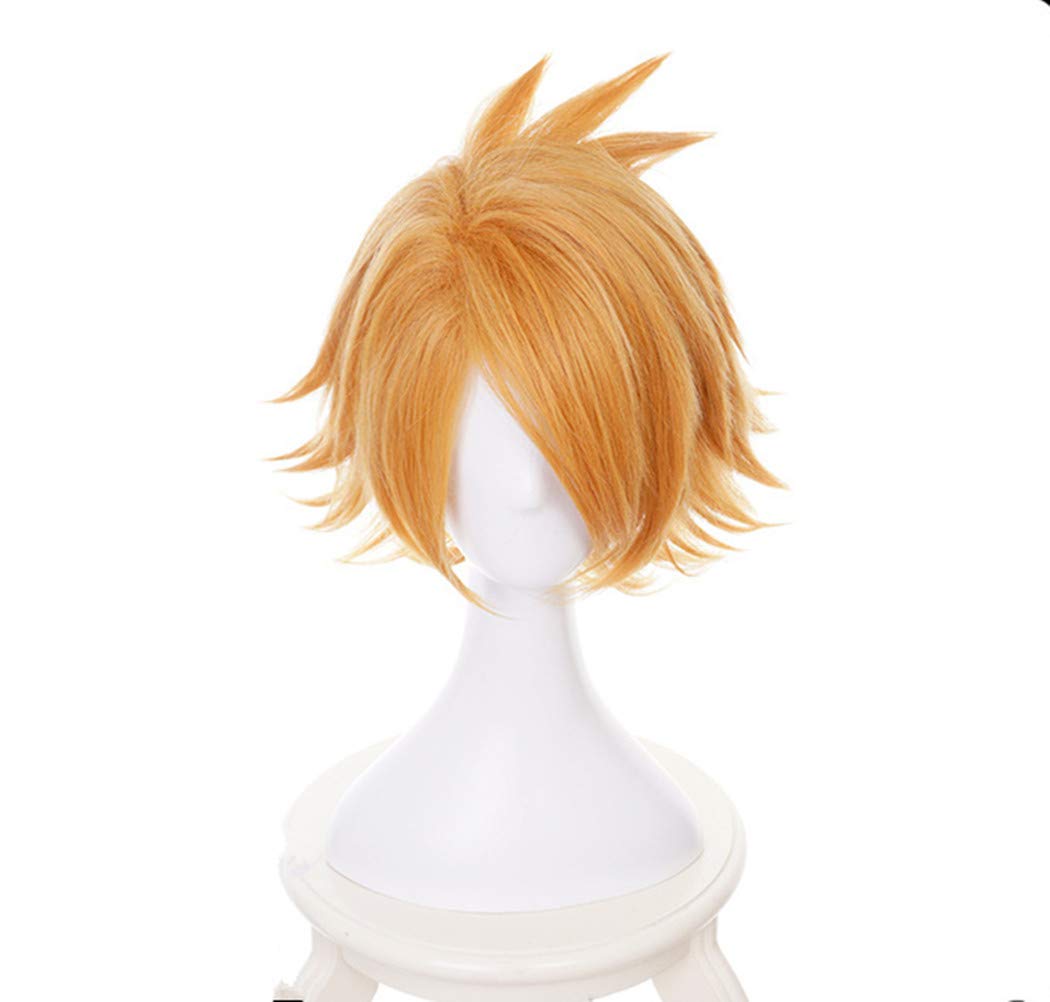 Eileen My Hero Academia Kaminari Denki Wig, Heat-Resistant, Disguise Wig, Anime Wig, School Festival Wig, Includes Net
Eileen My Hero Academia Kaminari Denki Wig, Heat-Resistant, Disguise Wig, Anime Wig, School Festival Wig, Includes Net