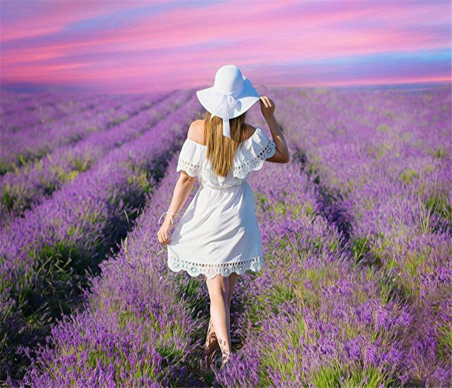 Ruopoty цифровая живопись лавандовый пейзаж ручная роспись уникальные подарочные фотографии цифровые раскраски персонажи украшение детской комнаты 40x50cm NO Frame
Ruopoty цифровая живопись лавандовый пейзаж ручная роспись уникальные подарочные фотографии цифровые раскраски персонажи украшение детской комнаты 40x50cm NO Frame