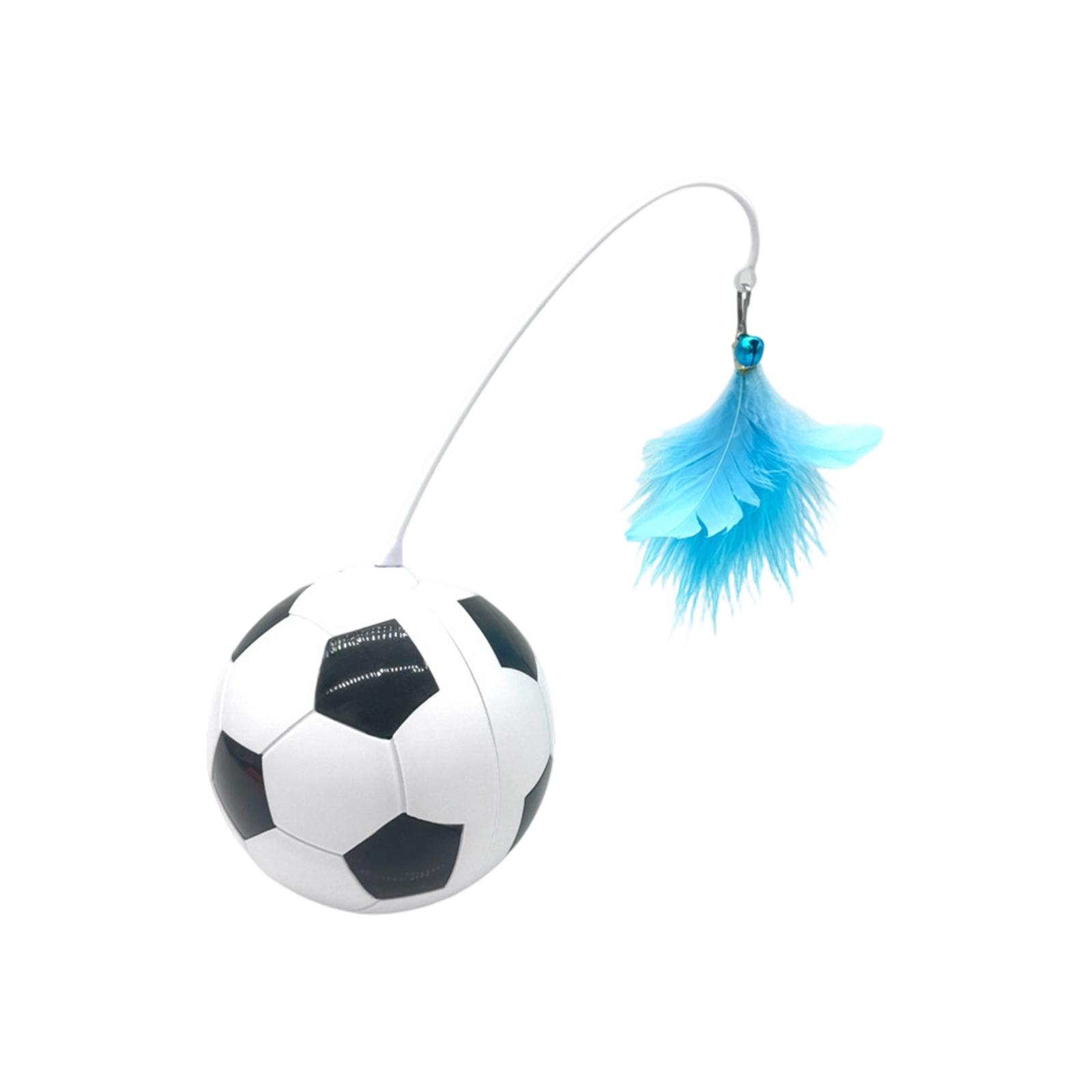 Interactive Cat Toy Soccer Ball with Attached Feather Teaser Durable Material for Indoor Pet Play and Exercise One Size
Interactive Cat Toy Soccer Ball with Attached Feather Teaser Durable Material for Indoor Pet Play and Exercise One Size