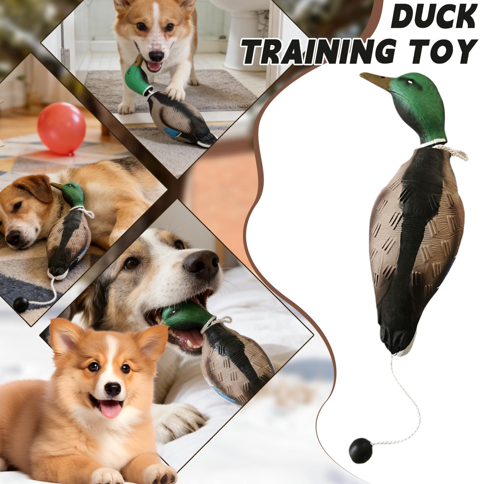 -shaped Training Dummy Toy, Suitable For Hunting Dog Training, Outdoor Training Toy, Identification Trainer, And Foam Pet Interactive Toy. One Size
-shaped Training Dummy Toy, Suitable For Hunting Dog Training, Outdoor Training Toy, Identification Trainer, And Foam Pet Interactive Toy. One Size