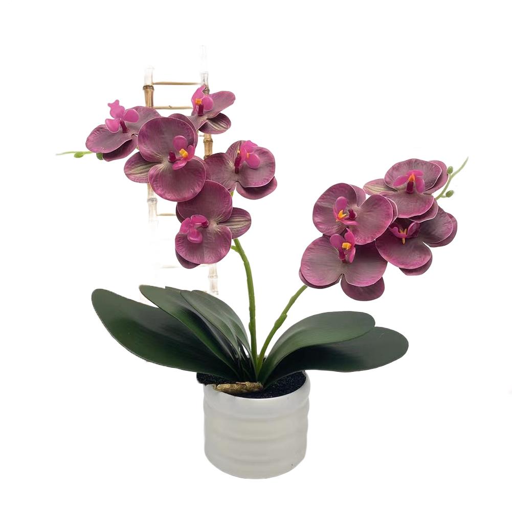 Home Decoration Artificial Orchid Flower Elegant Home Accent Elegant Artificial Flower Arrangement Long Lasting Beauty
Home Decoration Artificial Orchid Flower Elegant Home Accent Elegant Artificial Flower Arrangement Long Lasting Beauty