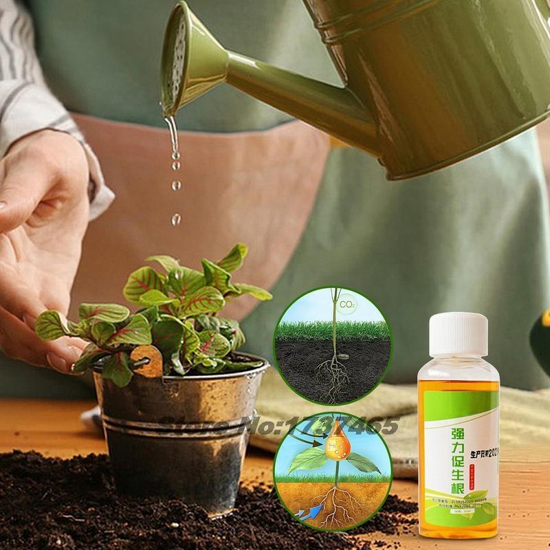 50ml Fast Plants Rooting Stimulator Organic Liquid Fertilizer For Plant Cuttings High Performing Root Stimulator Garden Supplies 50ml
50ml Fast Plants Rooting Stimulator Organic Liquid Fertilizer For Plant Cuttings High Performing Root Stimulator Garden Supplies 50ml