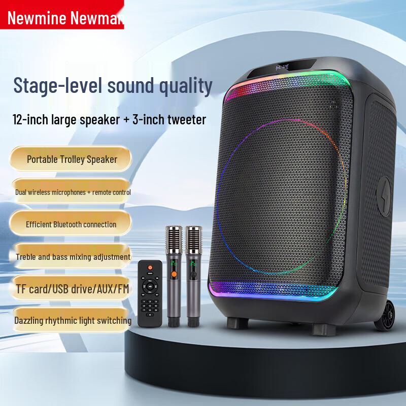 Newmine N532 12-inch Portable Outdoor Bluetooth Speaker
Newmine N532 12-inch Portable Outdoor Bluetooth Speaker