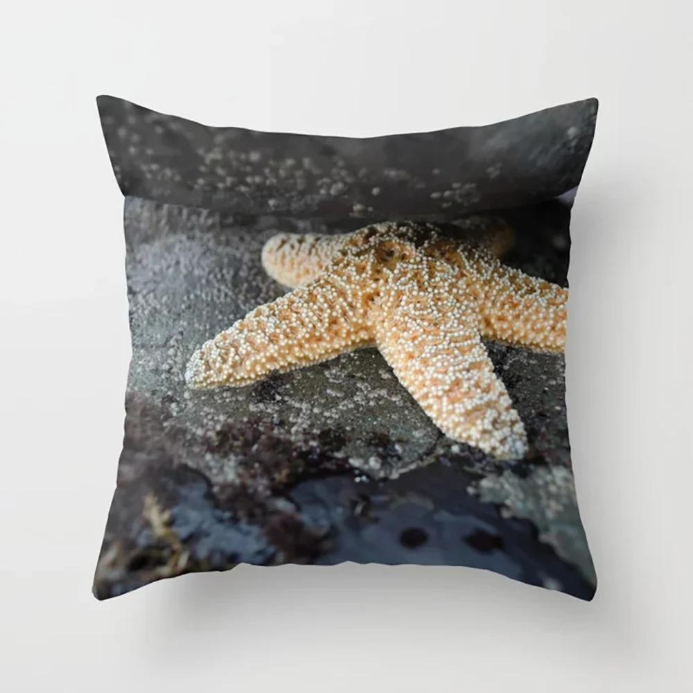 Гостиная Офис Дом Наволочка Узор Морская Звезда Наволочка Украшения для Машины 40x40cm
Гостиная Офис Дом Наволочка Узор Морская Звезда Наволочка Украшения для Машины 40x40cm