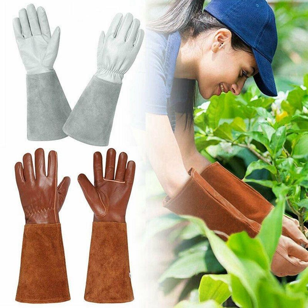 Gauntlet Cactus Thorn Proof Safety Gloves Work Welding Protection Garden Tools Pruning Gloves Brown L
Gauntlet Cactus Thorn Proof Safety Gloves Work Welding Protection Garden Tools Pruning Gloves Brown L
