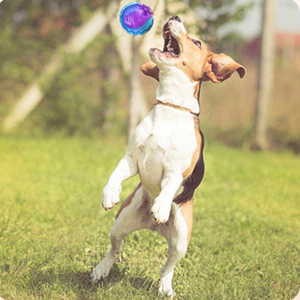 Non-toxic Pet Supplies Outdoor Play Chew Toys TPR Dog Toy Elasticity Ball Sounding Toy Molar Ball L фиолетовый
Non-toxic Pet Supplies Outdoor Play Chew Toys TPR Dog Toy Elasticity Ball Sounding Toy Molar Ball L фиолетовый